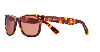 Jimmy Crystal Sunglasses GL944B