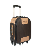 RIONI Signature Brown 360 Small Luggage ST-20115s